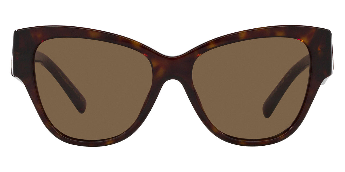 Dolce & Gabbana™ DG4449 502/73 54 - Butterfly - Havana