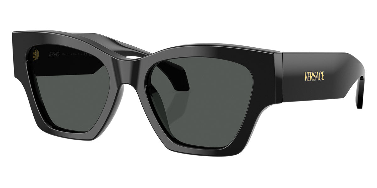 Versace™ VE4492U GB1/87 53 - Black