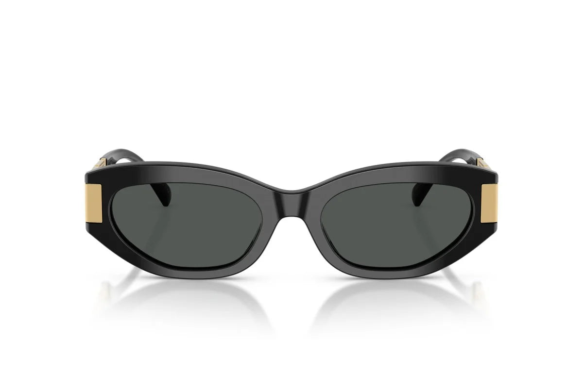 VERSACE™ VE4501 GB187  54